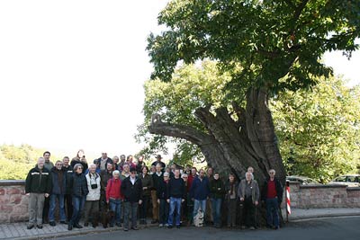 Jahrestgaung IG-Edelkastanie 2011